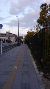 KIMG0508